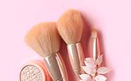 Brushes